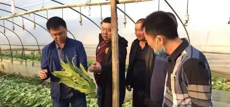 ׯ�к���Ϸ(�й�)�ɷ����޹�˾-����