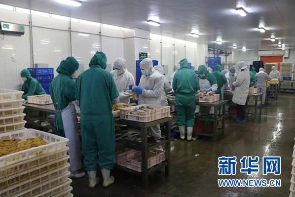 ׯ�к���Ϸ(�й�)�ɷ����޹�˾-����