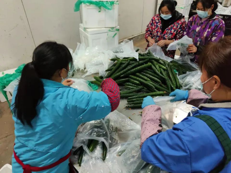 ׯ�к���Ϸ(�й�)�ɷ����޹�˾-����