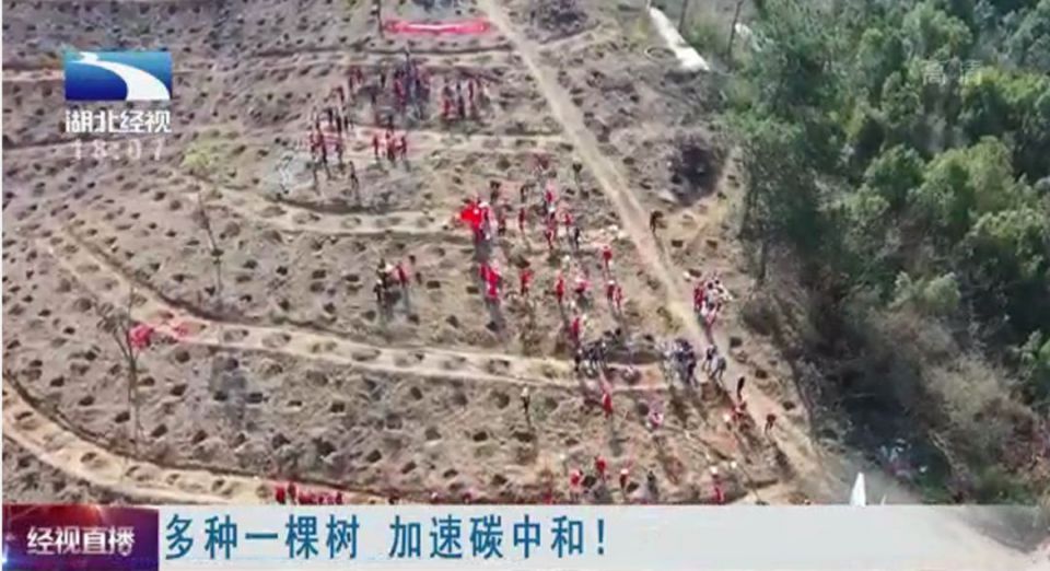 ׯ�к���Ϸ(�й�)�ɷ����޹�˾-����