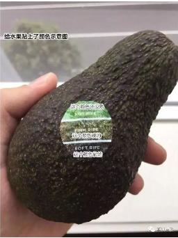 ׯ�к���Ϸ(�й�)�ɷ����޹�˾-����