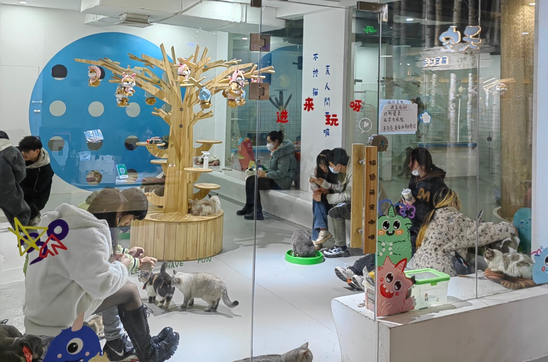 ׯ�к���Ϸ(�й�)�ɷ����޹�˾-����