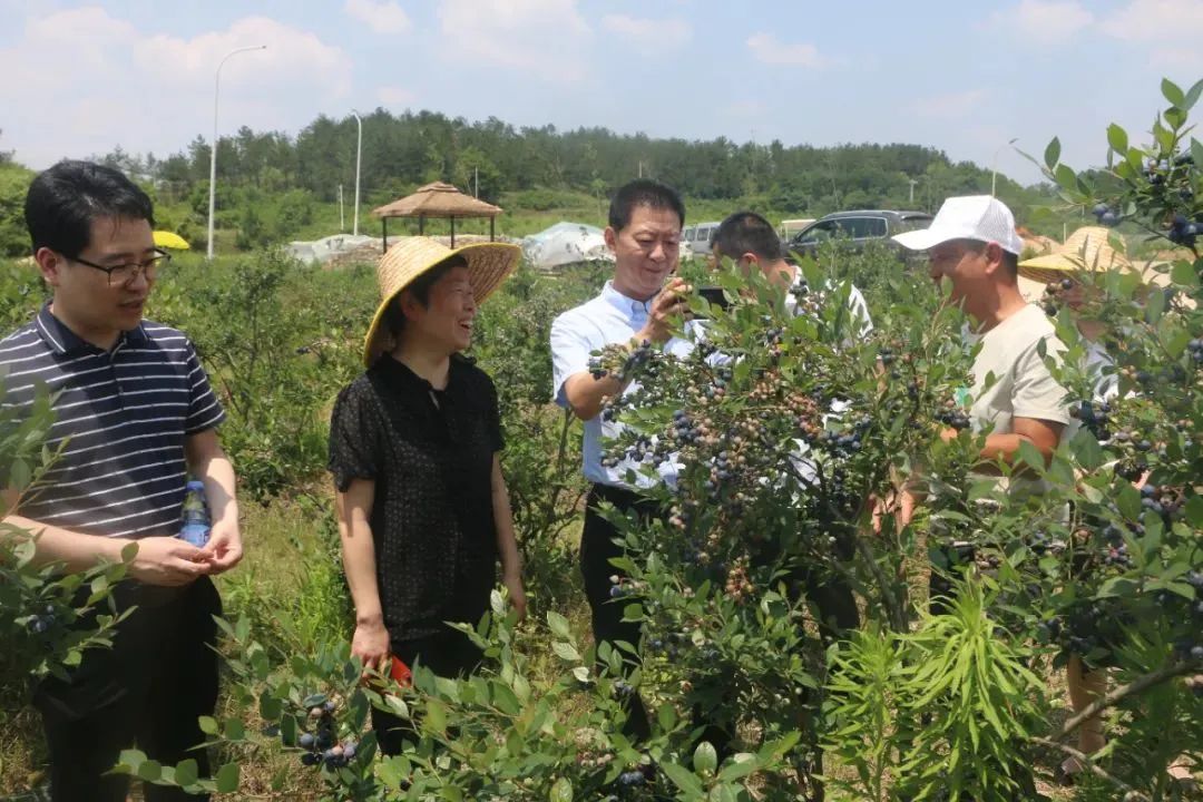 ׯ�к���Ϸ(�й�)�ɷ����޹�˾-����