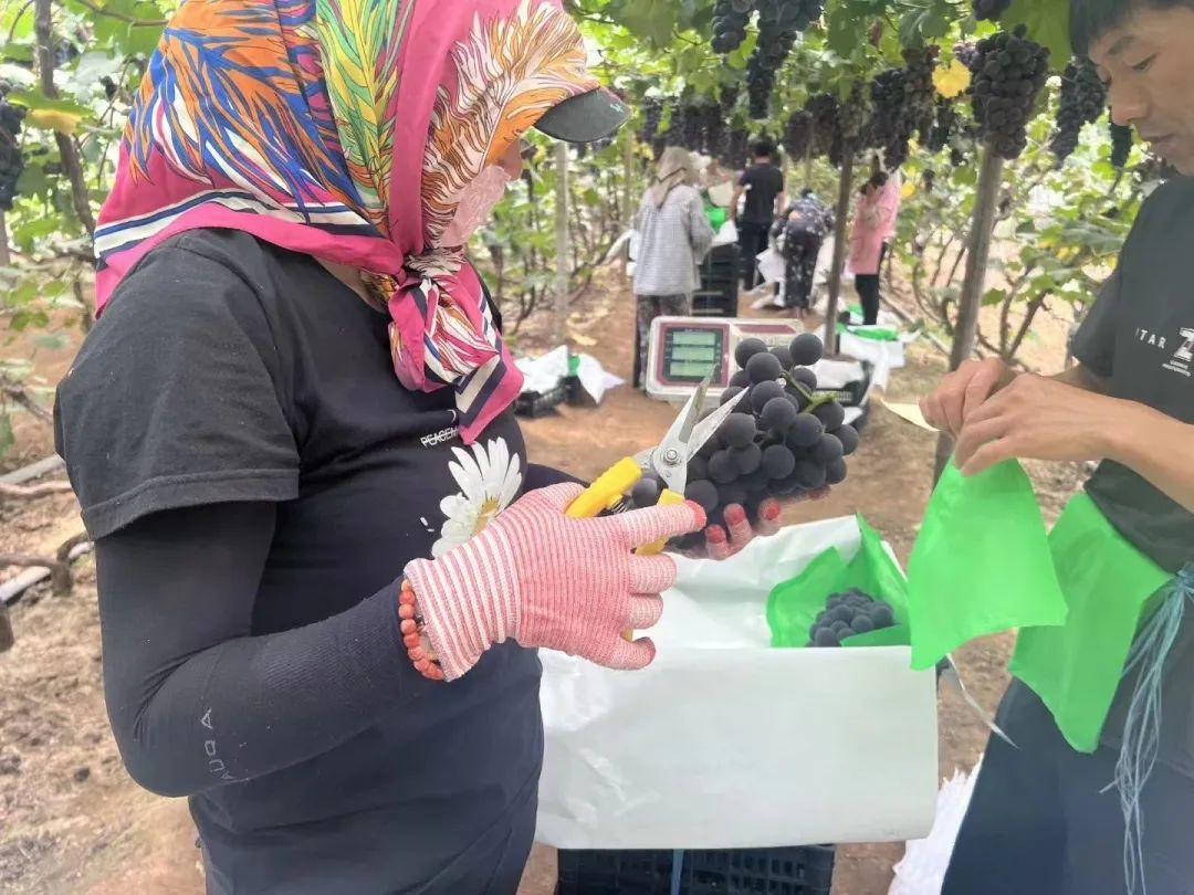 庄闲和游戏(中国)股份有限公司-官网