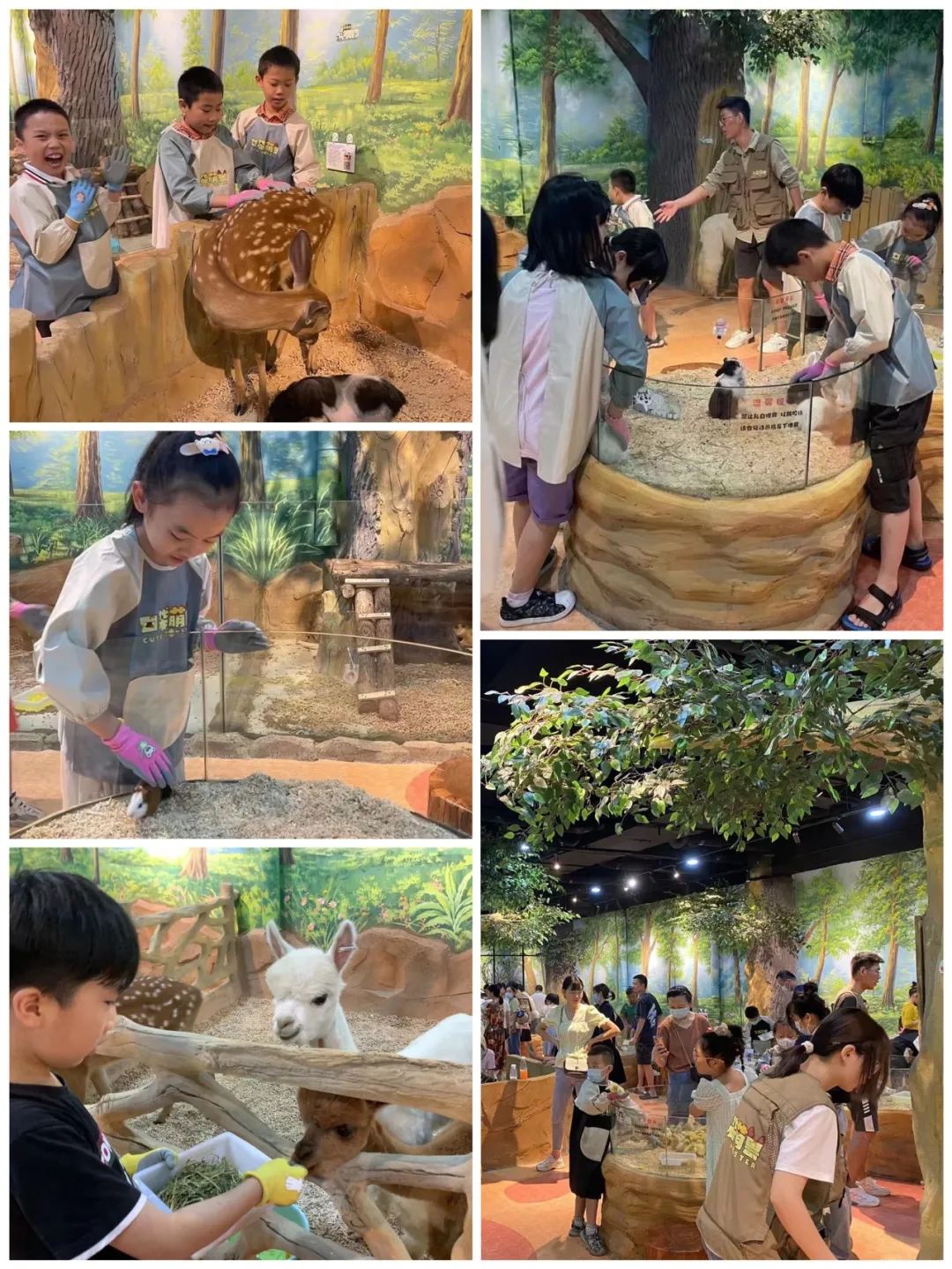 ׯ�к���Ϸ(�й�)�ɷ����޹�˾-����