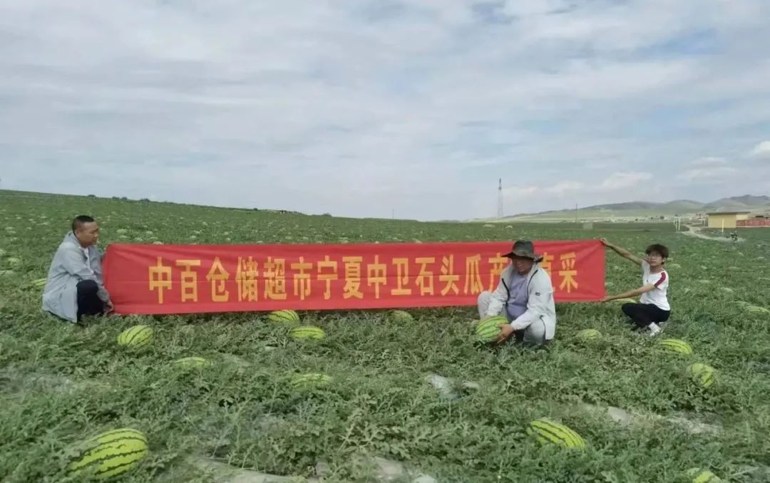 ׯ�к���Ϸ(�й�)�ɷ����޹�˾-����