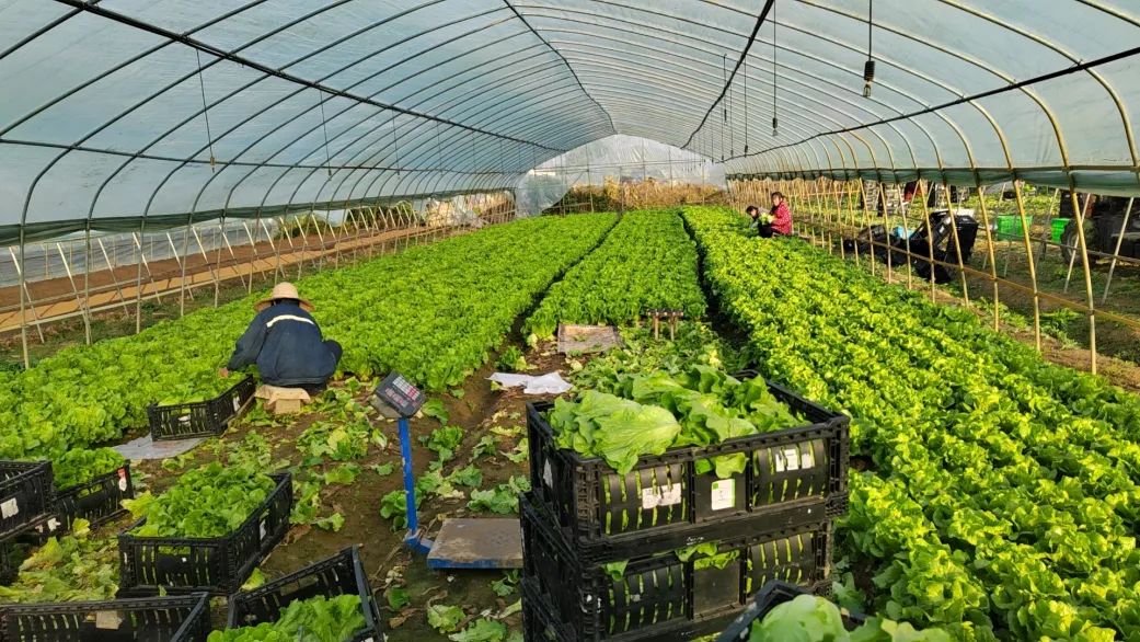 ׯ�к���Ϸ(�й�)�ɷ����޹�˾-����